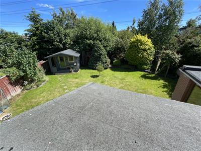 Picture 11